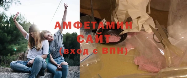 гашик Вязьма