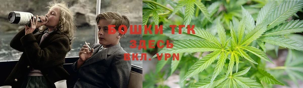 дживик Вязники