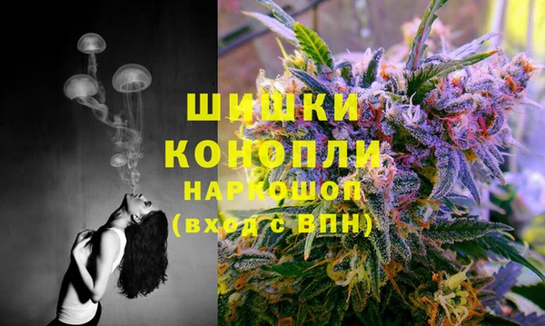 дживик Вязники